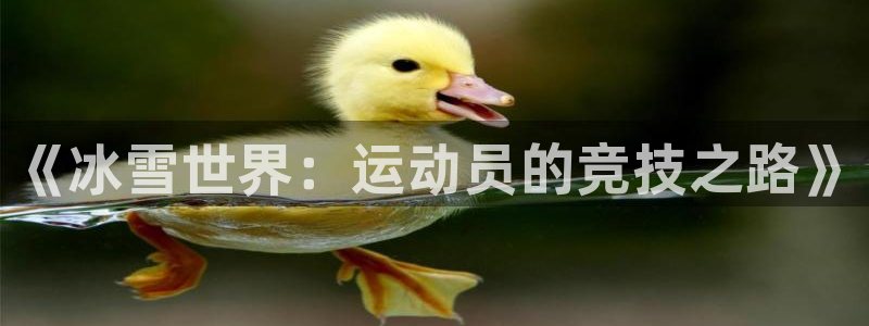 球王会体育