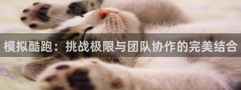 球王会体育