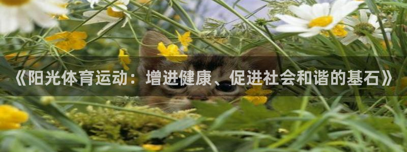 球王会体育