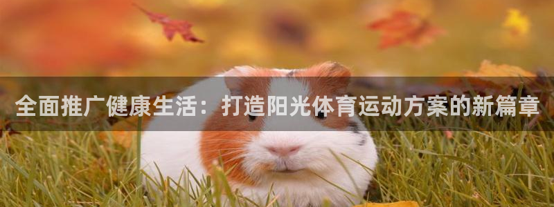 球王会体育