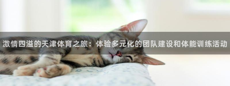 球王会体育