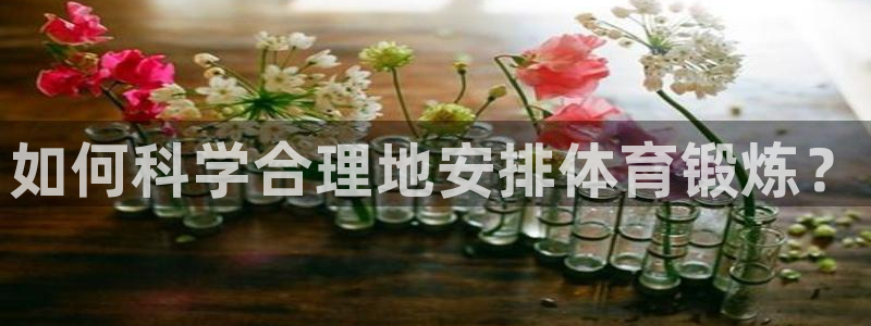球王会体育