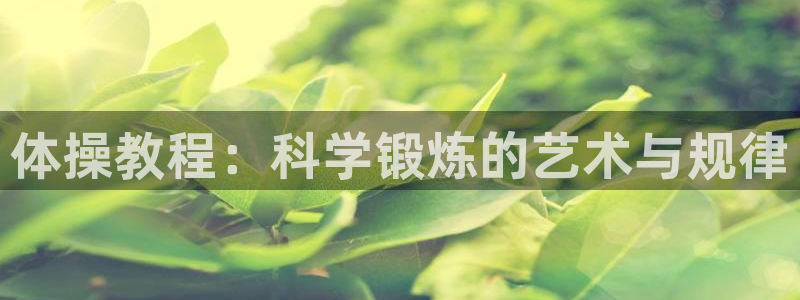 球王会体育